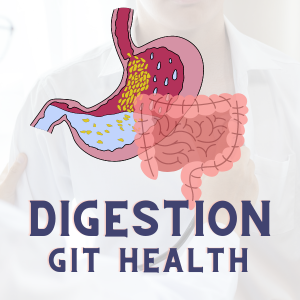 Digestion