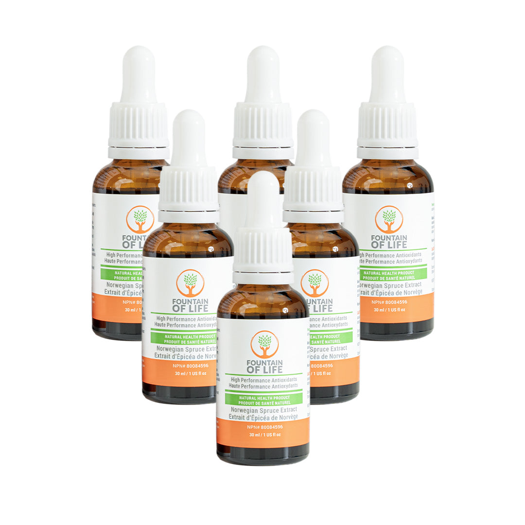 Fountain of Life drops Norwegian Spruce Extract (30 mL)